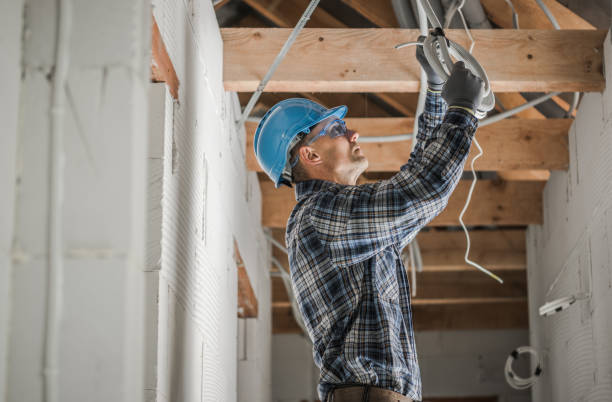 Best Electrician for Home Renovation  in Lowell, MI